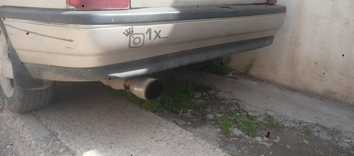 للبيع زوج دعاميات للبيع دشبول عنوان موصل ***********///***********
