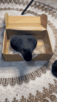 سيت كامل سرج طبي قديفة مع بوري سرج كاربون جبلي وزن خفيف قياس 30.9 سعر السيت 50 الف وبلعافية
للتواصل ***********
