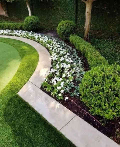 ياس عراقي متوفر 
مشتل شهيد العتبي
العنوان واسط العزيزيه قرب معمل السوس 
الاستفسار مراسله الصفحه او الاتصال ***********
