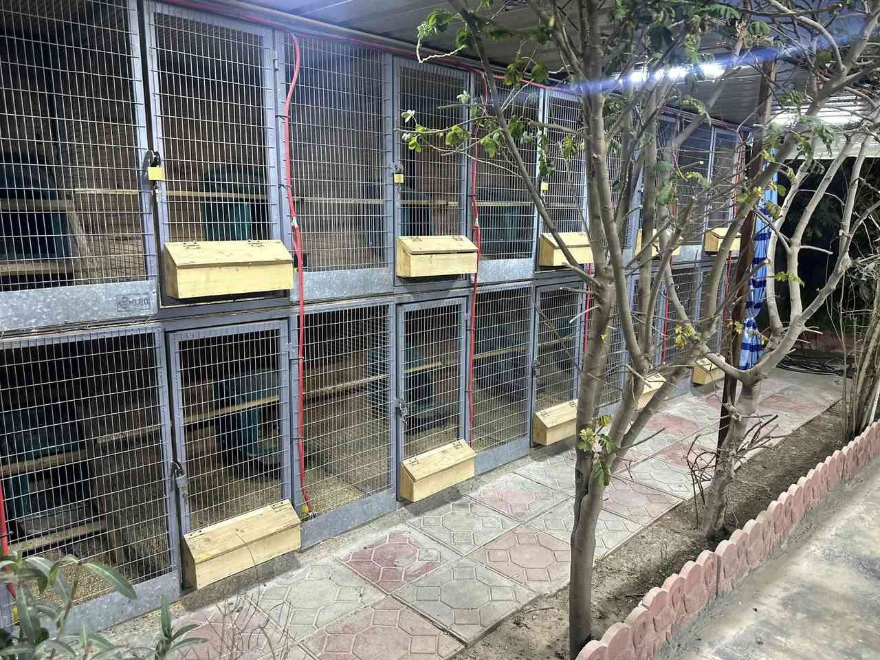 تحياتي لجميع كلشي موضح
خانات طابقين كل طابق يحتوي على 6 خانات 

ارتفاع متر نزال متر طول 6امتار 

الطابق الفوك مفصول عن الطابق الجوا 

شغل حديد درجه اولى نفس مموضح 

سعر للكل مليون و300


**إذا كنت صاحب هذا الإعلان وتريد حذفه لأي سبب، رجاءا أرسل رسالة إلى الدعم الفني**