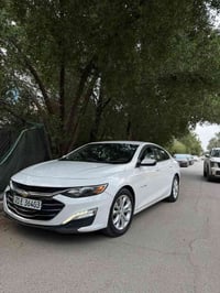 ماليبو • ٢٠٢٠ • كفالة