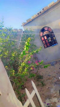 الأمن الداخلي البصرة • ١٥٠م • ساحة واسعة