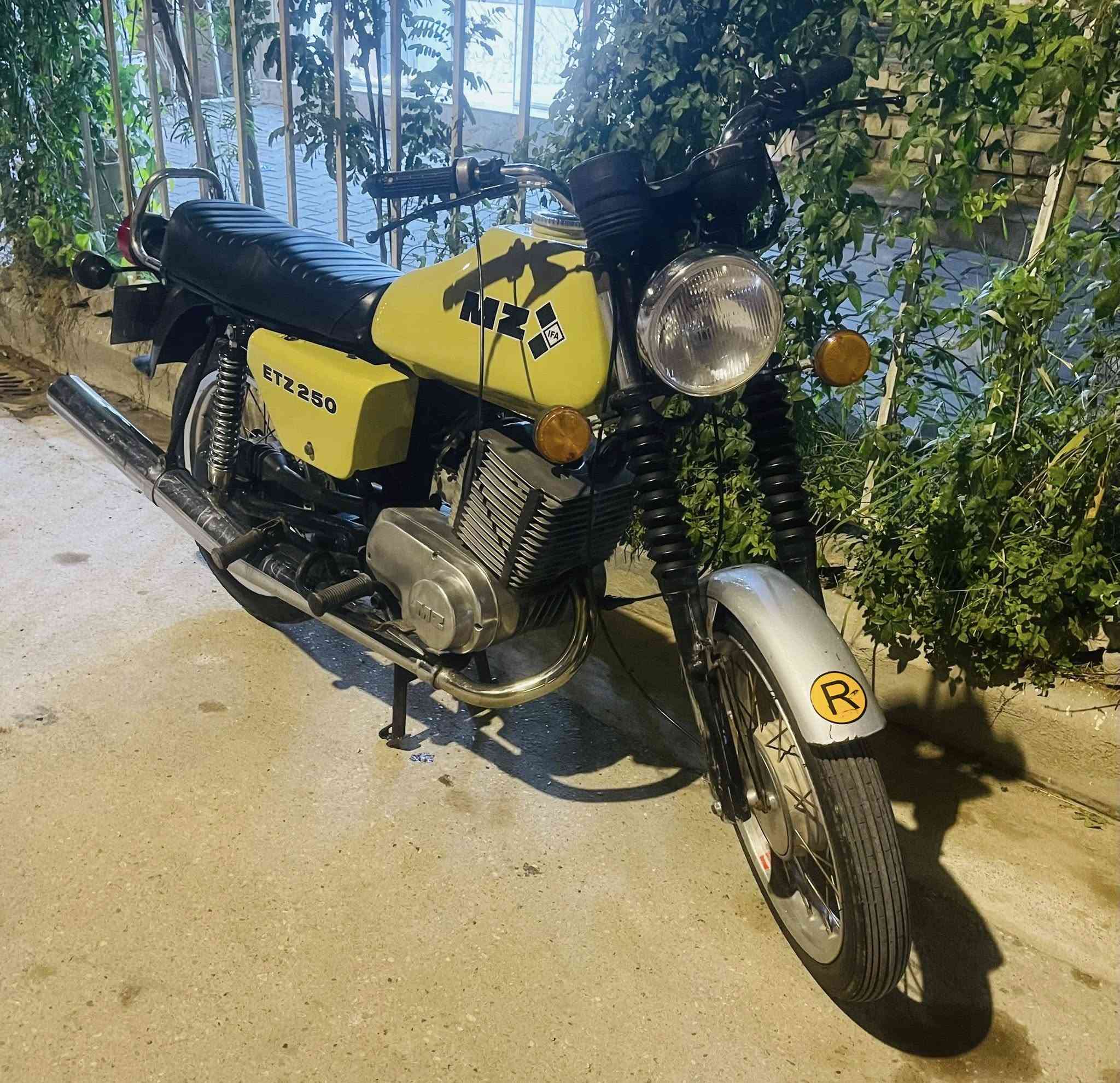 اسلام عليكم 82. للبيع كصه تلاثه ع فتح. بدون. بيهه لحيم بلخشم قليل.  مكاني.  كوت. 
***********
