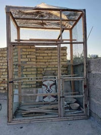 قفص كبير • مثلث جمالي • ارتفاع ٢٠٠