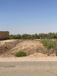السنية • ٥٥٥م • سند ٢٥
