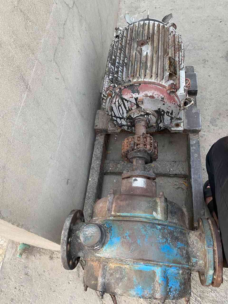 خنزيره مياه ثريفز للبيع السعر 13$وبيه مجال اخت الجديده الرقم ***********
