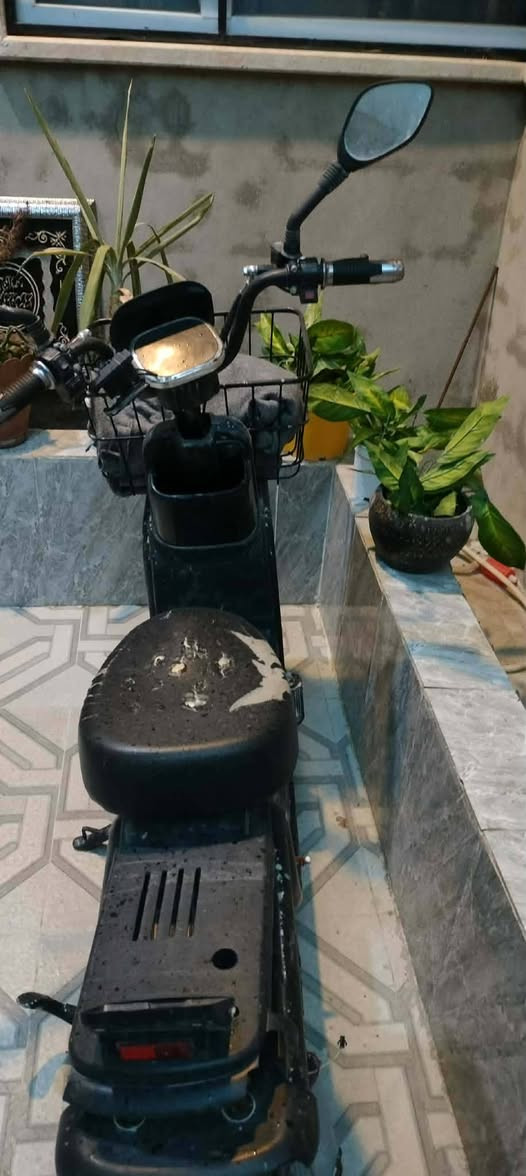 دراجه شحن. حجم 20 السعر 150 وبي مجال يعوزه تبديل عقل العنوان سماح الثانية .


**إذا كنت صاحب هذا الإعلان وتريد حذفه لأي سبب، رجاءا أرسل رسالة إلى الدعم الفني**