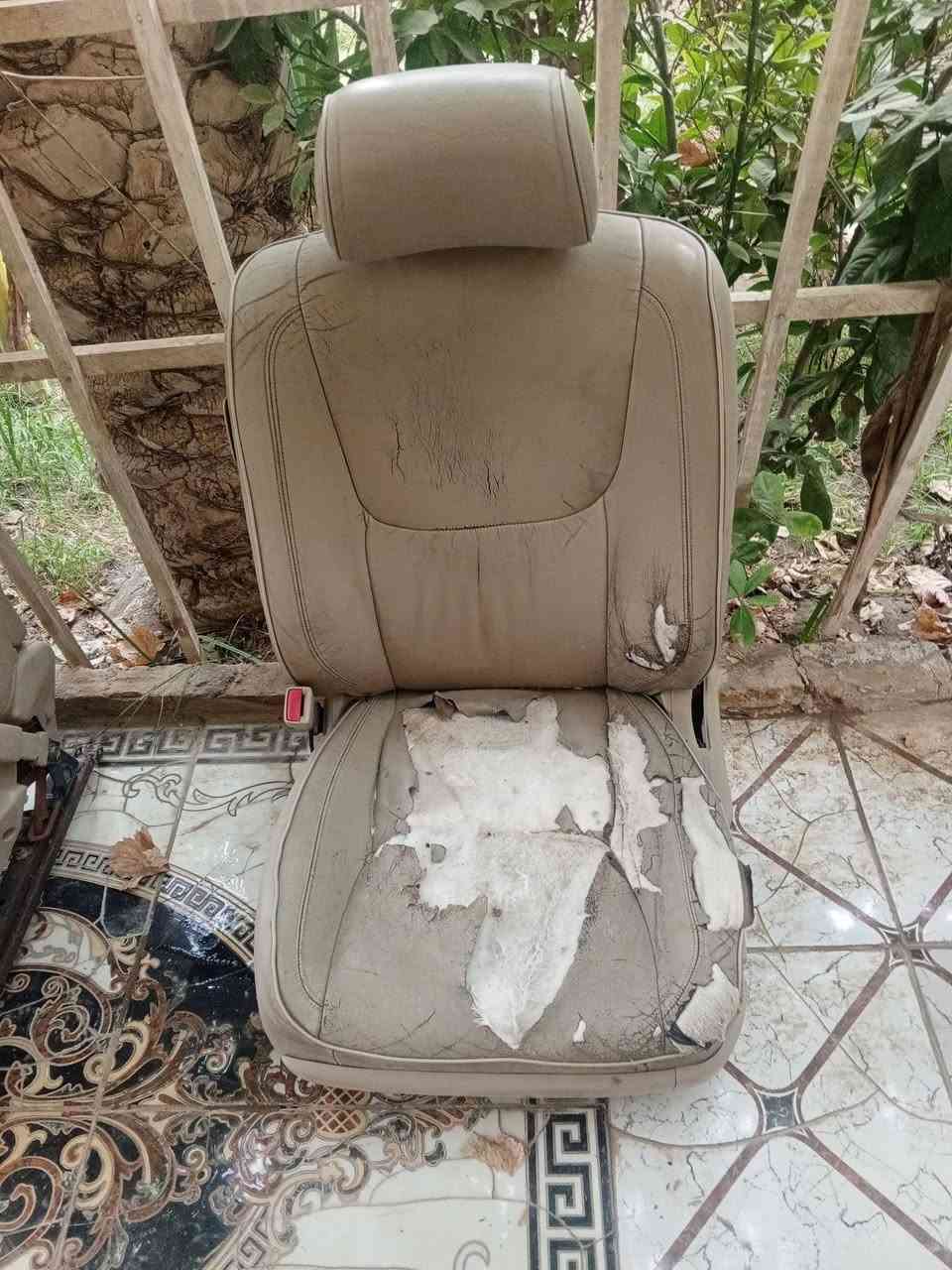 للبيع كشنات ملكه وبطاين


**إذا كنت صاحب هذا الإعلان وتريد حذفه لأي سبب، رجاءا أرسل رسالة إلى الدعم الفني**