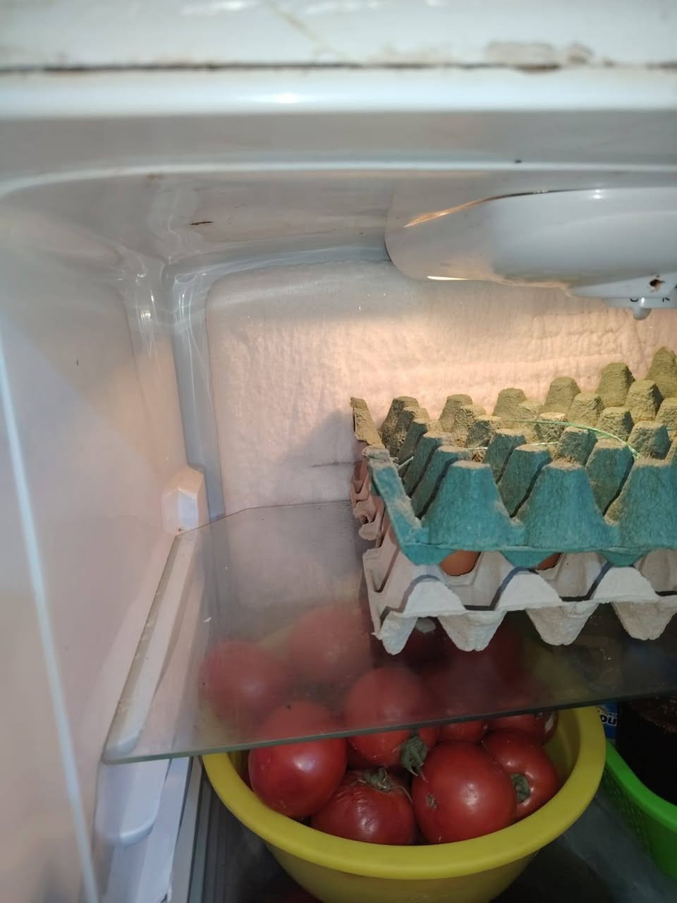 ثلاجه ومجمده للبيع شرط الشغل
سعر الثلاجه ١٧٥
وسعر المجمده ٢٢٥
ما مفتوحات بلاديات
العنوان سوق الدجين
للاتصال على الرقم ***********
