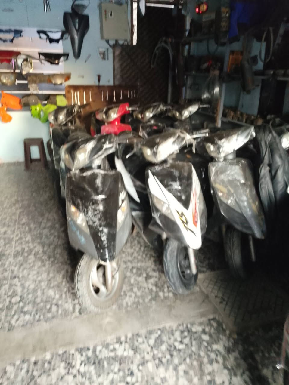 ماكس ثعلب رنبة شرط
بيع شلع عدد 10 تواصل ***********
