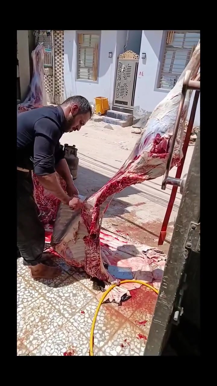 🏴🏴
عظم الله أجوركم بذكرى استشهاد الإمام السجاد عليه السلام 
🏴🏴
مطبخ أبو طيبة
***********
***********
