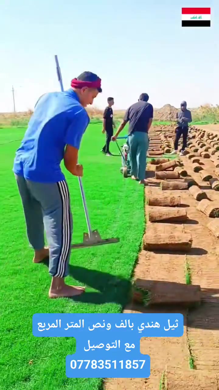 متوفر توصيل سريع 
مستعد اجهز جميع مشاتل العراق ولاصحاب المشاتل تخفيض خاص
***********
