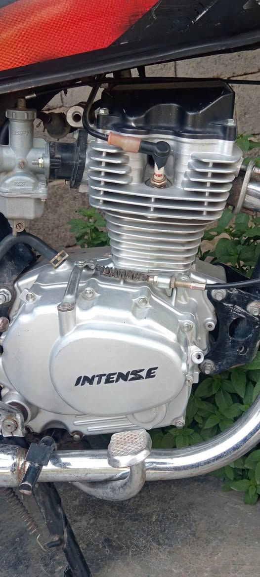 انتنس للبيع موديل 24مكينه فول فصلات سرعه تعليك نضافه ناعمه خير من الله /مكاني ناحية العباره  عبد الحمد السعر 300 بيها مجال حك الجيه


**إذا كنت صاحب هذا الإعلان وتريد حذفه لأي سبب، رجاءا أرسل رسالة إلى الدعم الفني**