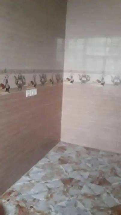 بيت. عدد ٢للايجار بعقوبة تفاصيل داخل صور لأول مفرك منطقه حجي ناصر قرب مدرسة لاؤزعي والثاني باب درب قرب جامع لا اله الا ألله *********** وتس اب اتصال
