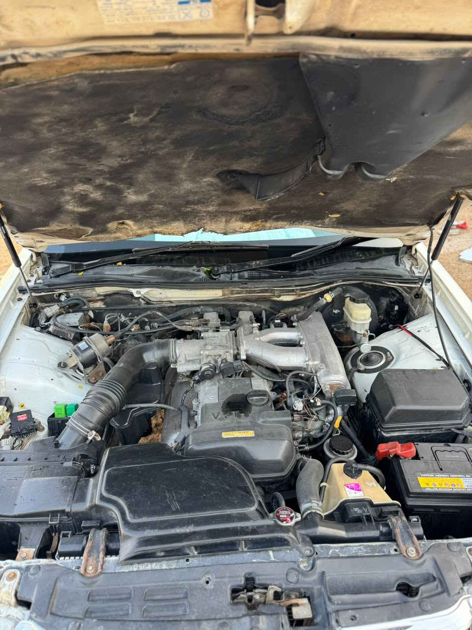 راس الثور. 97 كفاله كل الاصوليات رقم بصره سنويه لل30 مكاني بصره السعر 118 ***********
