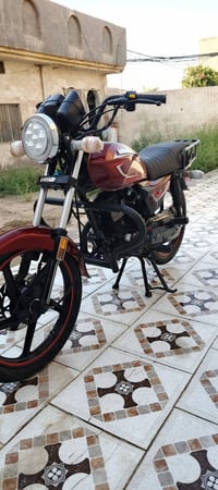 شونك ٢٦ • سكنر • اوراق