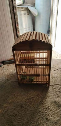 قفص بلابل للبيع 07728095018