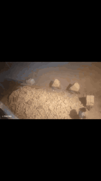 ونج متفرق حالين تصعيد مواد كفت المواد البناء بسعر مناسب تصال علي رقم 0...