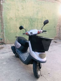 نفخ • شاصي شرط • معدل فول