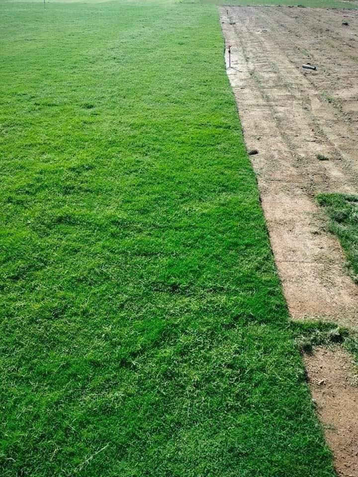 شركة الثيل الاخضر طبيعي لتجهيز الحدائق والمنتزهات  والملاعب في اسعار منخفضه في كل محافظات العراق 

السعر والستفسار خاص موجود بك وقت 
 📞📞📞***********
***********
