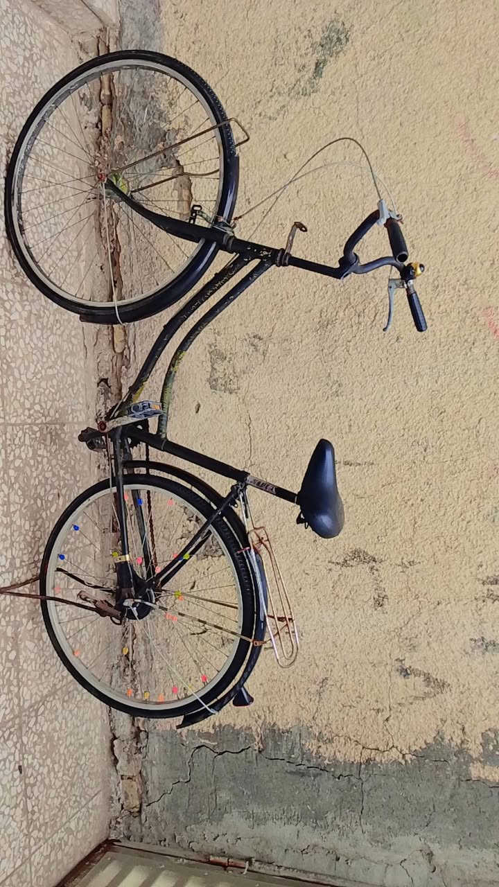 السلام عليكم بايسكل بناتي حجم 27 نضيف ابريكات حساس 
بايسكلك كامل بس الويل الخلفي بي عواج يرادله تعديل 
والباقي كامل ونضيف سعرة 45 وبي مجال مكاني بغداد مدينة الصدر الاستفسار علة الماسنجر او على الرقم ***********
