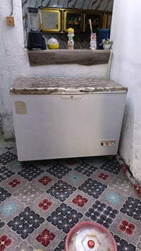 مجمدة • حجم كبير • كوفة