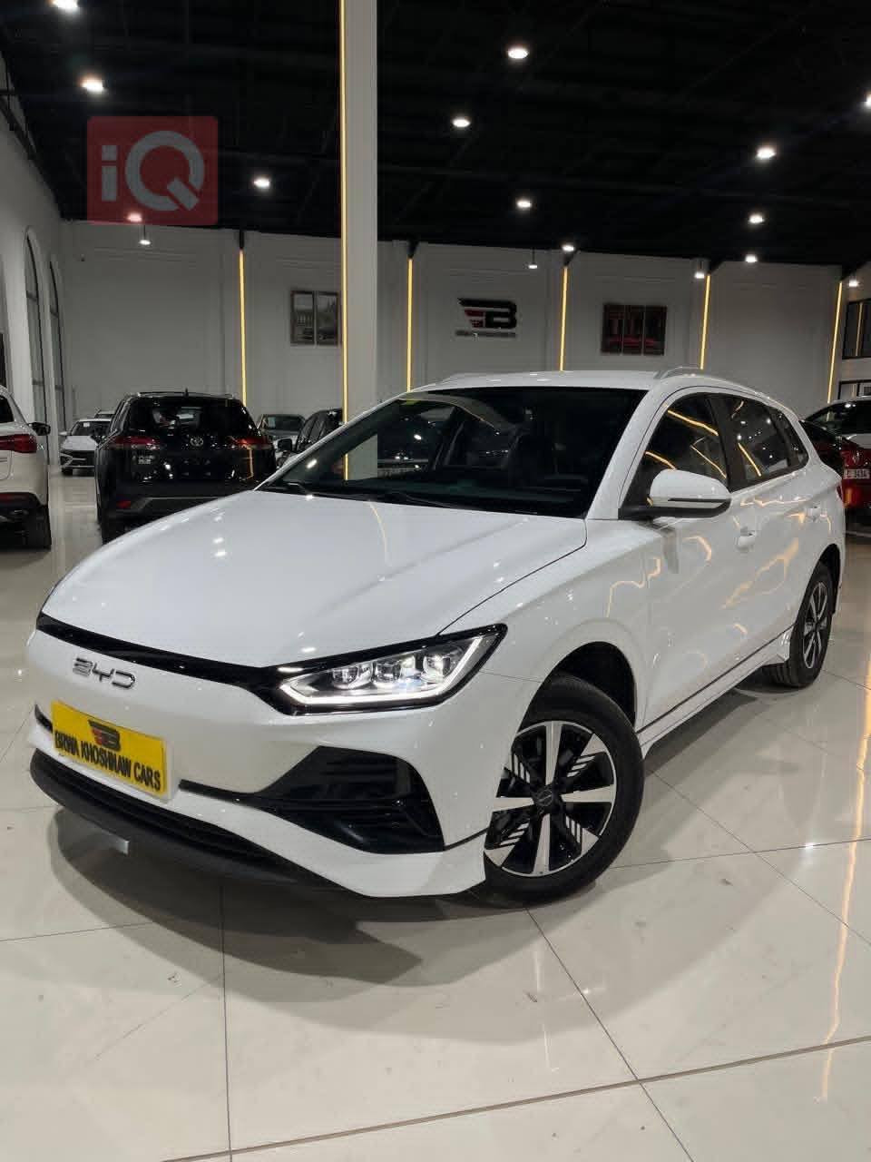 بی وای دی ٢٠٢٥ بۆفرۆشتن
مواسەفات e2
فول کارەبای بە یەک شەعن 
405 کیلۆ مەتر ئەروان 
دوو سویجو دوو کارتو دوو شەعنی لەگەڵە  
40 ڕۆژی ماوە بۆ ڕەقەم
١٠٠٠ کیلۆ مەتریش ڕۆییە
نرخی 121 گەڵاو کەمێک مامەڵە
ژ.م//***********-***********
شوێن//هەولێر أربيل, العراق
