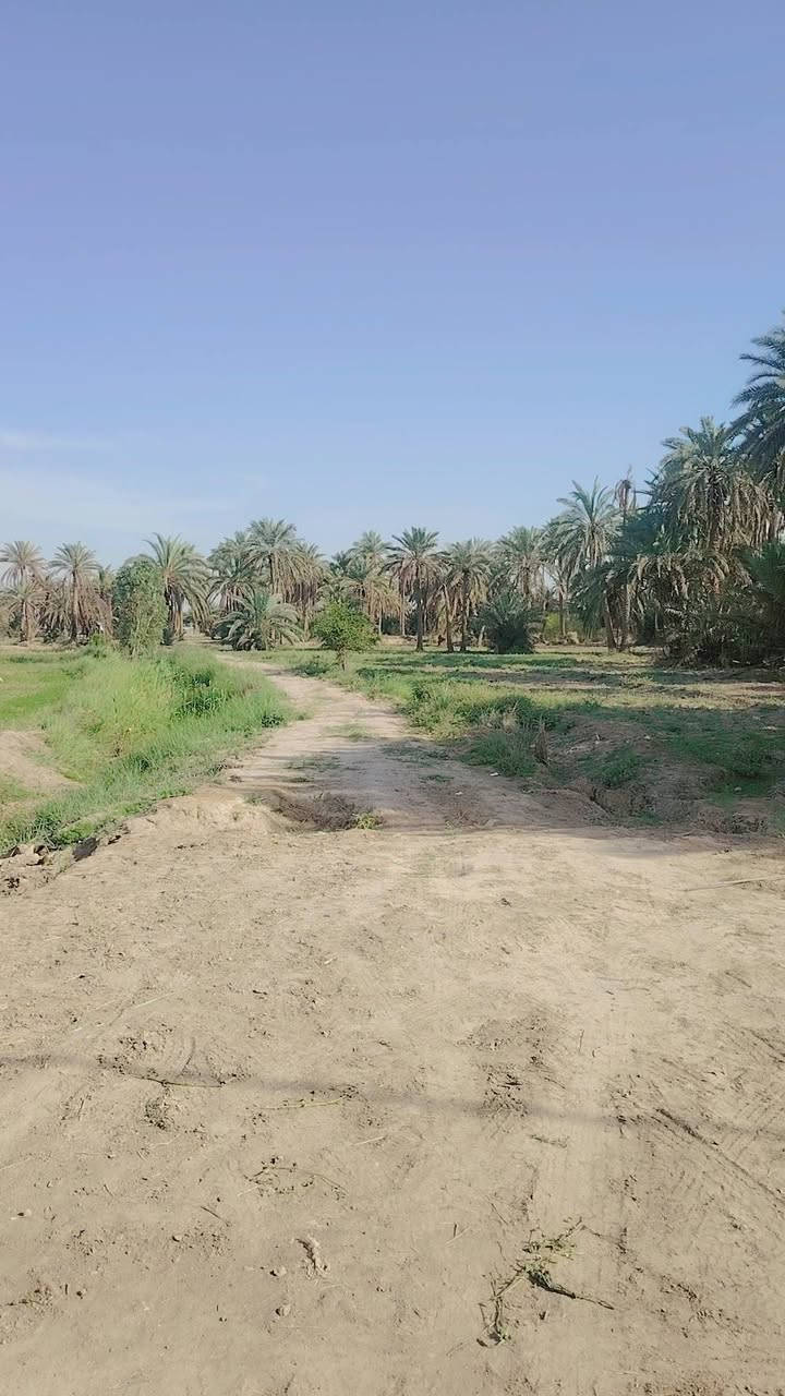 سلام عليكم بستان للبيع خمس دوانم طابو زراعي سند 25 متوفر كافت الخدمات ماء سقي كهرباء تبليط مدرسه موقع البستان القاسم شارع الطابو يبعد عن شارع رئيسي 500متر تفاصيل أكثر تصال ع رقم ***********

