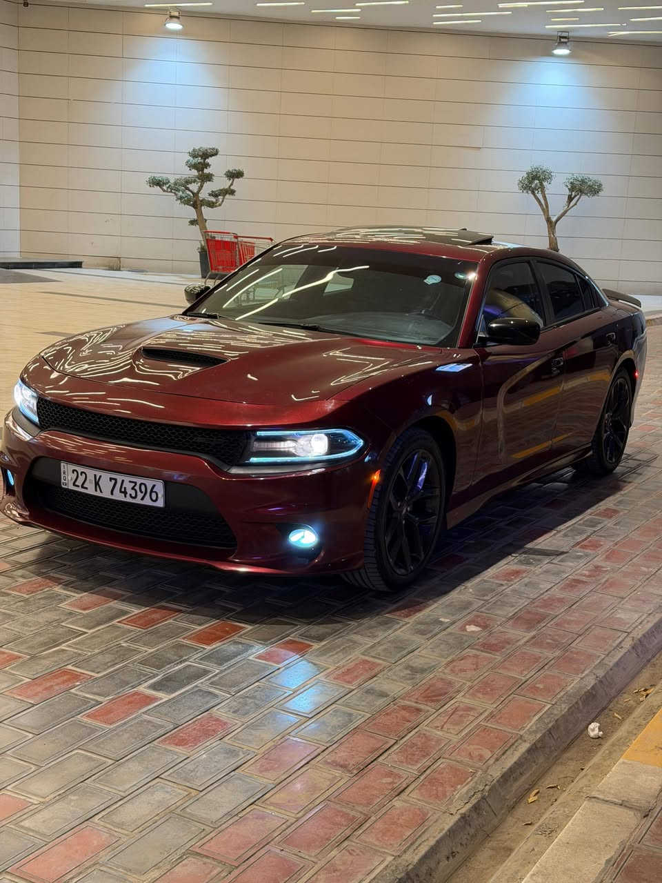 جارجر gt بلاك توب مديل ٢١
فول مواصفات كشن كهرباء
شاشه جبيره
تحكمات كامله ستيرن وشاشه اعدادات سياره
شفتات كير طيار ٨ نمر
كشنات حضن
فتحه سلايد روف
سوبر تراك باك سبورت مود ايكو مود
حساسات كامره
تراكشن أوف 
هيتر مري 
ويل ٢٠ بلادي 
تشغيل عن بعد 
مثبت سرعه تحذير مسار 
تطعيمات اسود بلادي 
ضربتها سطحيه قطعهن نفسهن مصلحات نفسه البنيد معدل ونفسه جاملغ
كير مكينه كله بلادي وجديد حداديه بلاديه وجديده ترايها مال زيرو ناعمه سياره وتخم تاير باتري جديد دهن كله وكاله بانزين كله محسن وسوبر ادامه كامله من كلشي اول باول رقم ***********
مكاني السماوه السعر ٢٥٥
