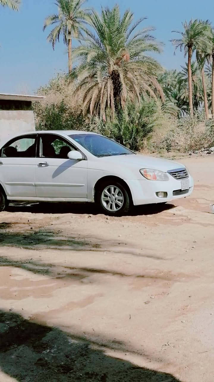 السلام عليكم
  للبيع سياره سيراتو موديل 2009 بغداد انكليزي باسمي سياره فول مواصفات خمسه ويل كب حداديه تخم تاير تبريد ثلج بيها رشات قليله للجماليه  
السعر 88 وبيها مجال قليل  مكاني بابل كفل 
رقم الهاتف ***********
