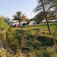 حي الحكيم • دونم • بيت ٢٠٠م