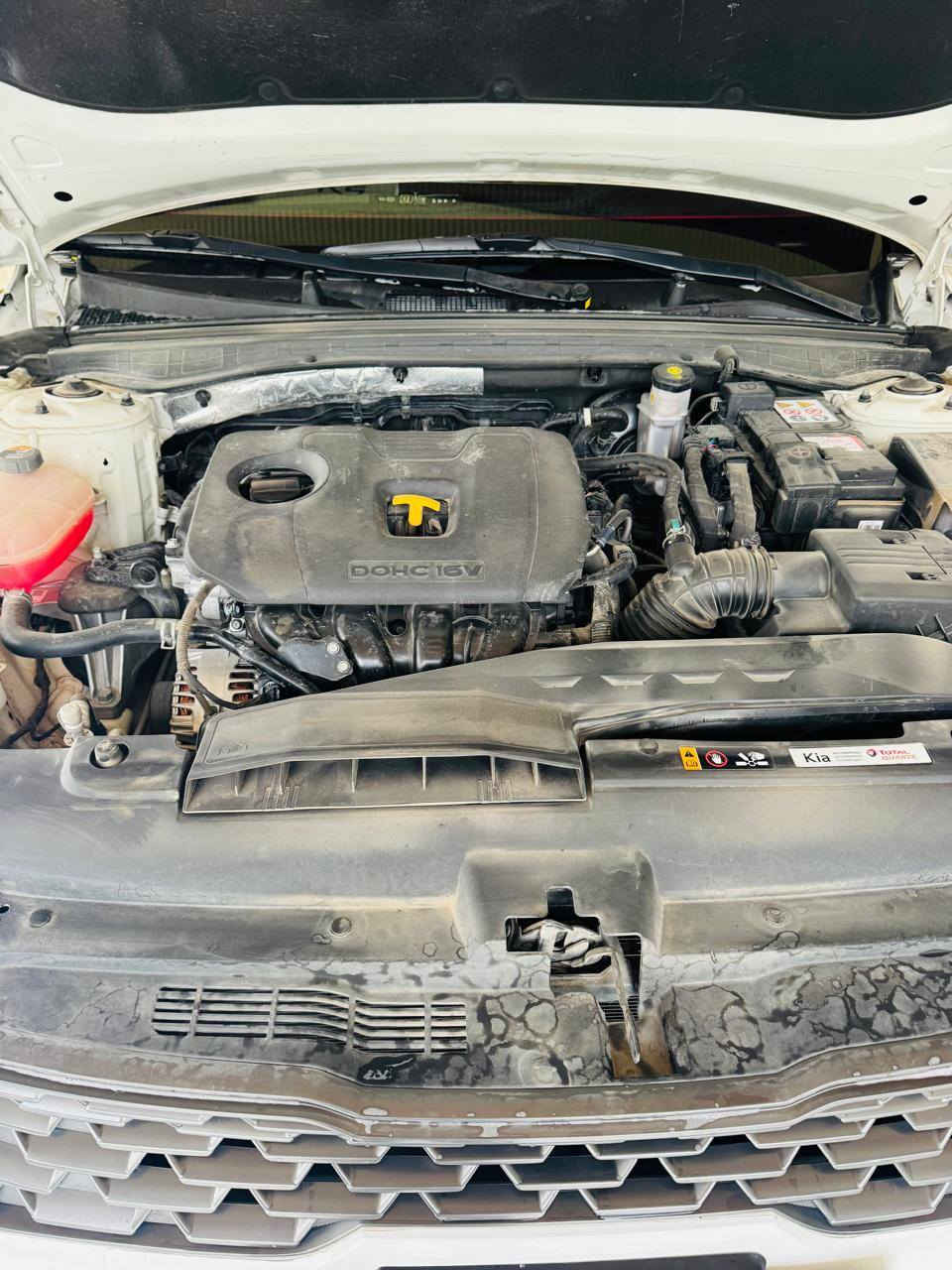 السلام عليكم
k5 (خليجي) 
الموديل2022
الرقم اربيل 
الموصفات
محرك 200دوش 
عدسات زنون 4
فتحه سقف بانوراما 
بصمه بصمة ابواب 
تشغيل عن بعد 
تبريد قطعتين تبريد شاشه
تحكم ستيرن 
حساسات اماميه خلفيه 
سيد بريك بصمه 
كشنات جلد 
منافذ شحن اماميه خلفيه
لدات اماميه خلفيه 
خمس وضعيات قياده 
كرسي سائق كهرباء 
تدفئه كشنات 
اشاير ترحيب 
مرايات شفط 
شاشه ابل كار بلي
العنون الانبار رمادي 
ماشيه 62
بيه مكانين بارد ول باقي مكفوله
سعر 205 بيه مجال الطيبين 
*********** 
***********
