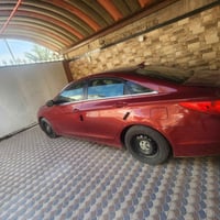 مراوس • للبيع