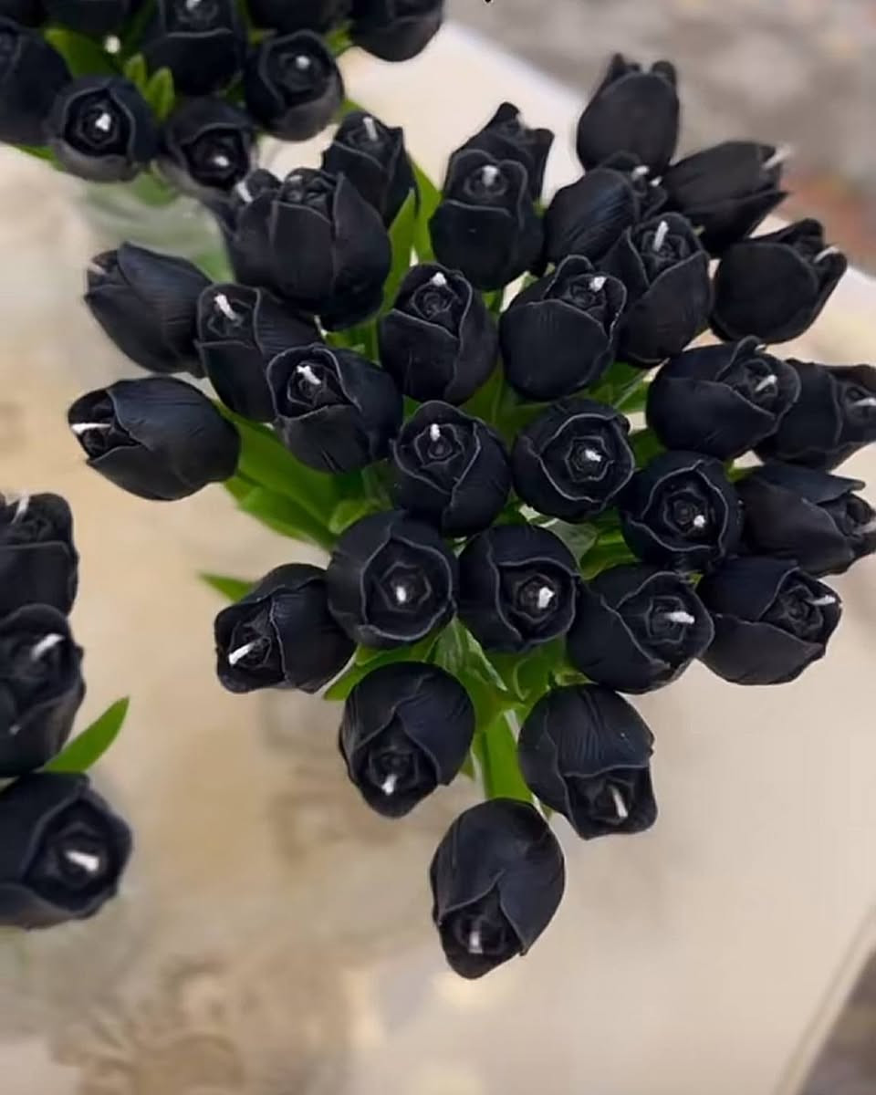 🖤✨ توزيعات شهر  محرم المبارك ✨🖤
بكل حب وإتقان نوفر لكم توزيعات شهر محرم والشموع المعطرة بتصاميم أنيقة ولمسات مميزة تليق بذكرى سيد الشهداء الإمام الحسين.
🔹 شموع معطرة بأشكال متنوعة
🔹 أسعار مناسبة وجودة عالية
🔹 الحجز مفتوح والتوصيل متوفر
للطلب والاستفسار: 📞 ***********
"كل عمل يُقدَّم حباً للحسين يبقى أثراً طيباً في القلوب." 🖤🌹
