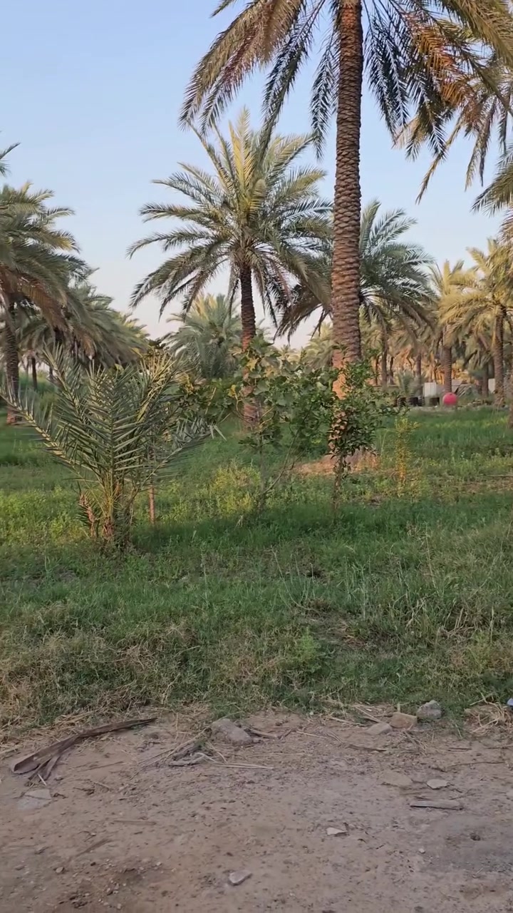 السلام عليكم 
اللهم صل على محمد وآل محمد .
( ١٢٠٠م )طابو زراعي سند ٢٥ .
العنوان : كربلاء المقدسة/  طريق كربلاء _ بغداد 
 جهه الدخول إلى كربلاءالمقدسة .
عمود ٣٩٢.
للاستفسار اكثر الاتصال على الأرقام(***********و *********** )
للمزيد من العروض  تابع الصفحة . #اشاره
