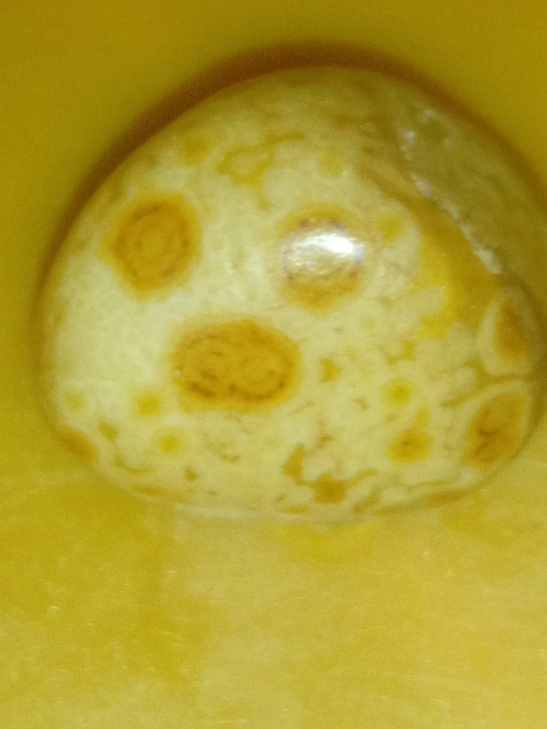 جمال العقيق السوداني


**إذا كنت صاحب هذا الإعلان وتريد حذفه لأي سبب، رجاءا أرسل رسالة إلى الدعم الفني**