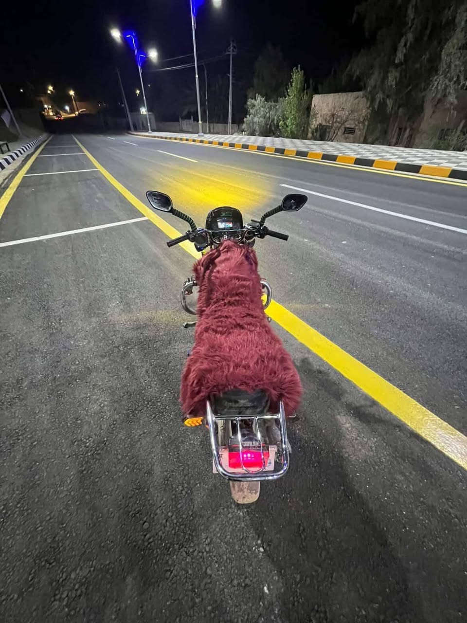 السلام عليكم مطور للبيع موديل 2023 يرهم مراوس حسب القناعة


**إذا كنت صاحب هذا الإعلان وتريد حذفه لأي سبب، رجاءا أرسل رسالة إلى الدعم الفني**