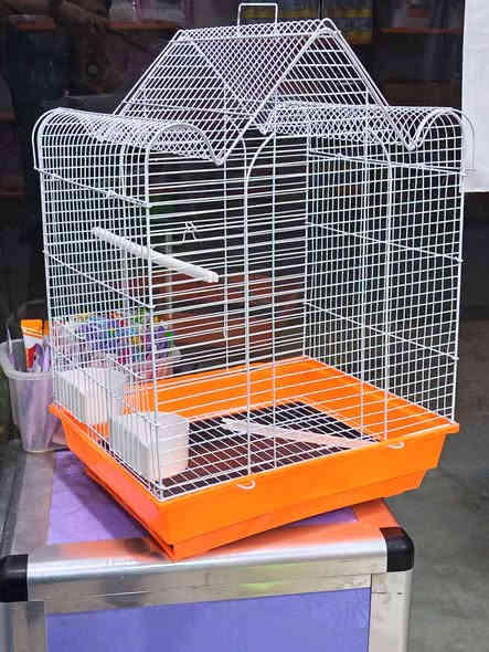 متوفر اقفاص بلابل مع معلفة اكل وماء
سعر  10 الف متوفر توصيل اقضيه نواحي جميع
الالوان بيهن العنوان
كوت العزه قديمه قرب مركز الشرطه
***********
