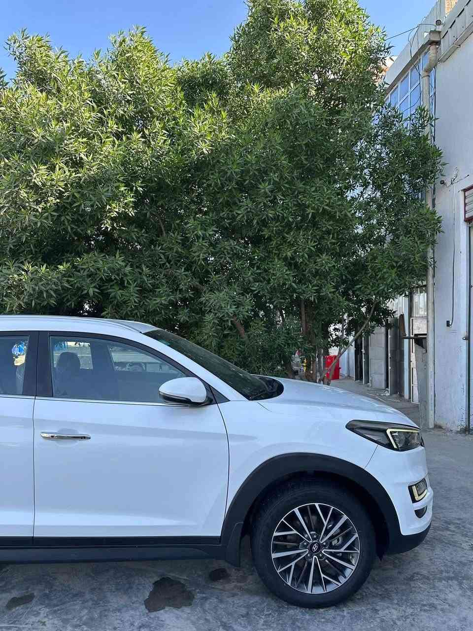 سلام عليكوم توكسان 2019 كوري اصلي رقم سليمانيه هزا سنويه مجدد حد ٢٠٣١ بسمي موصفات كوري معروف فَول فول عده فتحه ماشيه ٨٠ الف كفاله صبغ بارد تبديل كله وضع شركه من  شركه اني مستلمه علا ايدي جديد حيل بل عافيه علا مشتري مكان سياره كركوك سعر 208وبي مجال ***********
