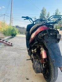 بوتين • معمر • ستيرن
