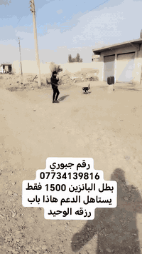 بطل بانزين 1500 • محل جبوري • تل الشعير