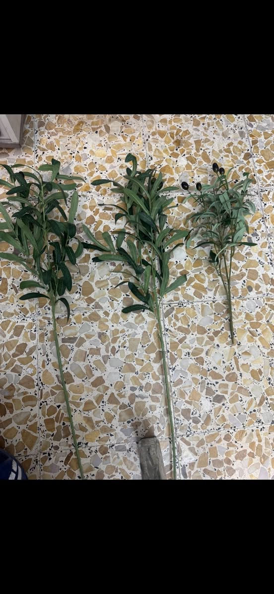 كراتين فقط أهل جمله يوجد ثيل ابو 6 الثخين 1 متر 2 متر مده خضار  وسياج خضار استفسار ***********
