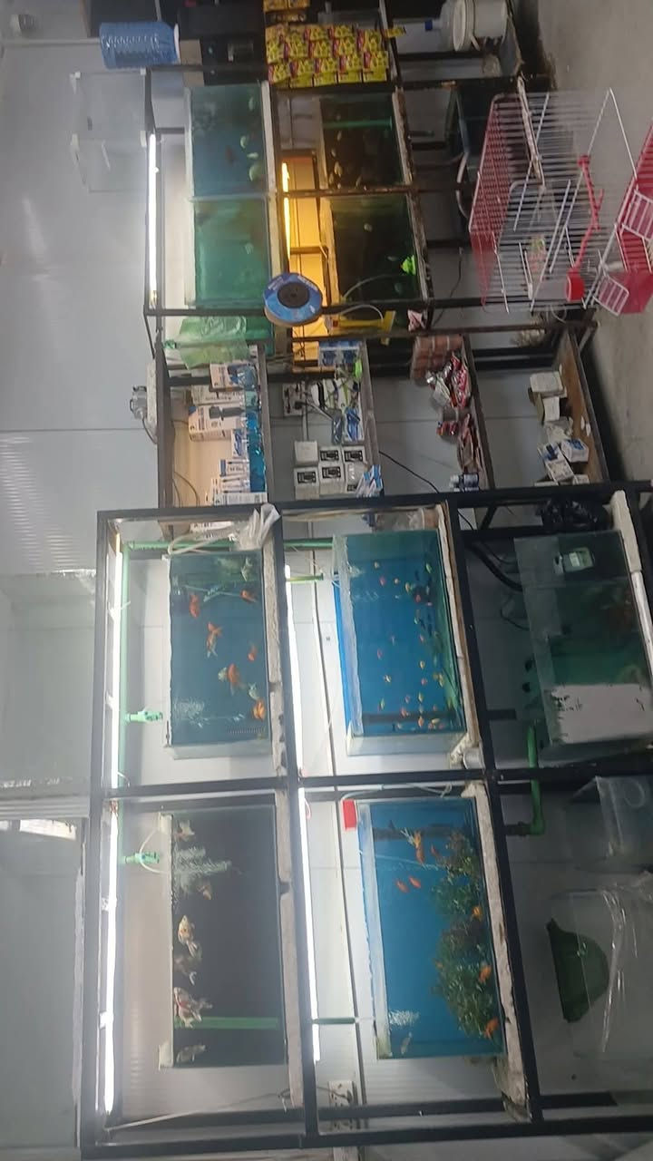 محل للبيع كامل مكمل انطيك مفتاح  كلشي بي حته منضومه كامرات ونت 
يصير ملك الك بالكامل فقط تدفع اجار مال ارض 350
عنوانه حي جهاد شارع العام  مقابل شقق حي سلام  مجاور مشتل عابد فلور
***********
