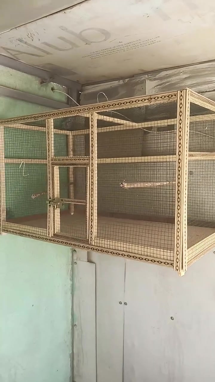 سلام عليكم قفص للبيع طيور حب بلابل كلشي يرهم مال تبزيرر سعره 20 قفل قفل مكاني زبير


**إذا كنت صاحب هذا الإعلان وتريد حذفه لأي سبب، رجاءا أرسل رسالة إلى الدعم الفني**