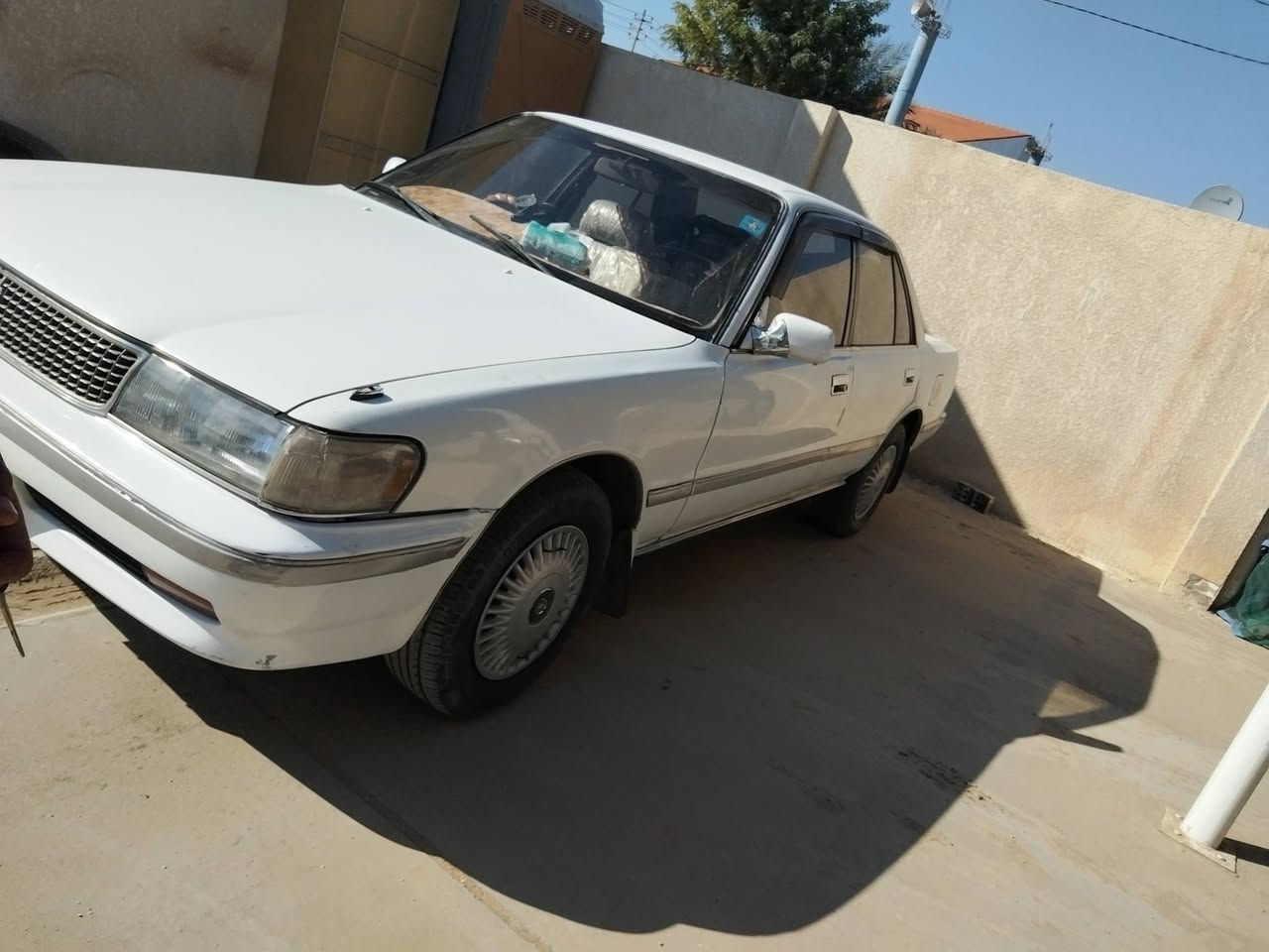 من رخص الادمن
مارك تكم كربلائي

للبيع

موديل 1992

مكينه ثنين ونص سته سلندر

رقم كربلاء

السياره بسمي

سنويه ل 2030 

هزه جديده

السياره بلاديه ما مصبوغه

بيها فقط شبرين جاملغ الخلفي اليمنه

السعر /// 65 ورقه
مكاني كربلاء 

للستفسار /// ***********
