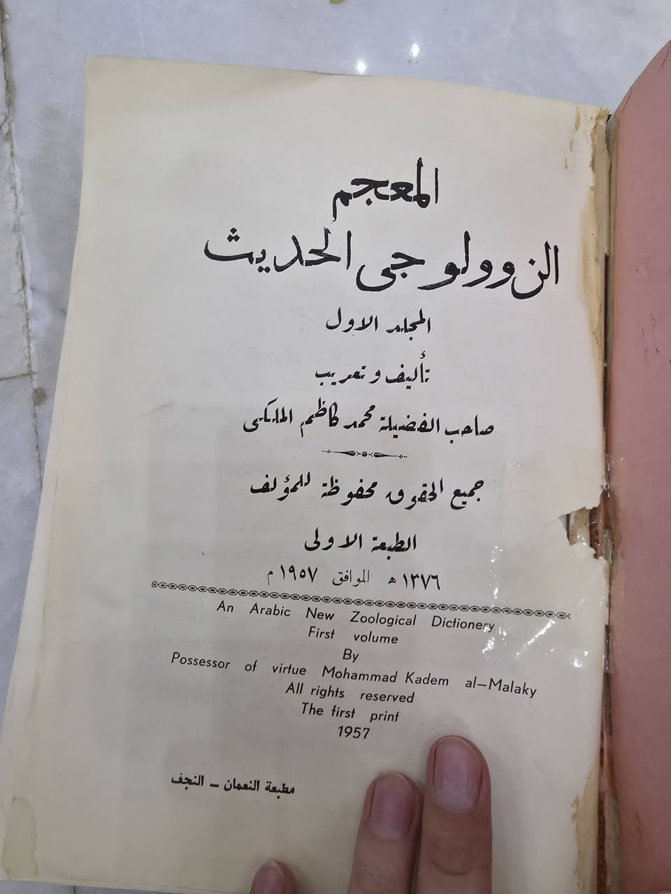 تجليدي 🤨


**إذا كنت صاحب هذا الإعلان وتريد حذفه لأي سبب، رجاءا أرسل رسالة إلى الدعم الفني**