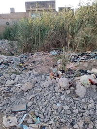 الكاطون • ٢٥٠م • طابو صرف