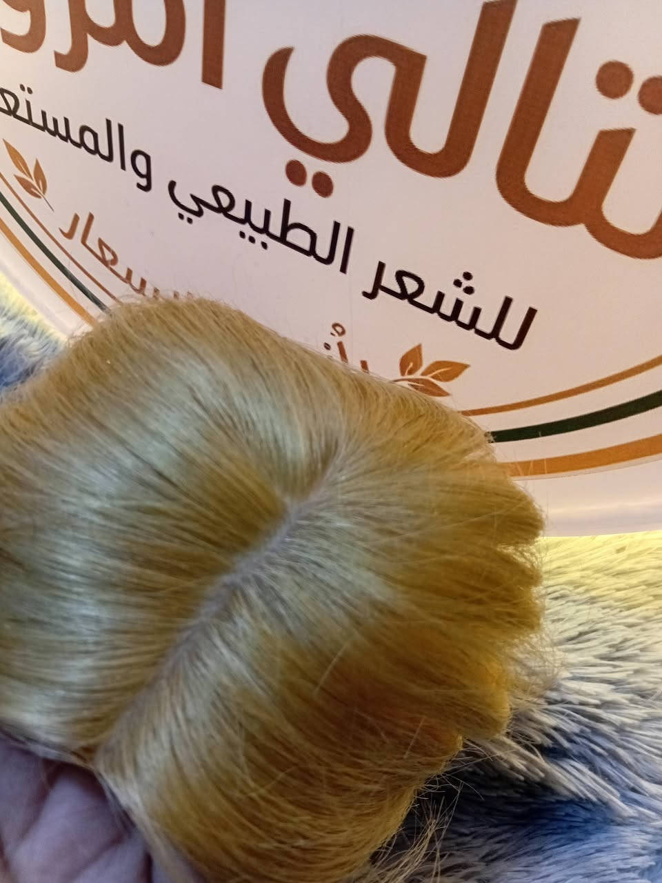 مقدمات شعر طبيعي بشري


**إذا كنت صاحب هذا الإعلان وتريد حذفه لأي سبب، رجاءا أرسل رسالة إلى الدعم الفني**