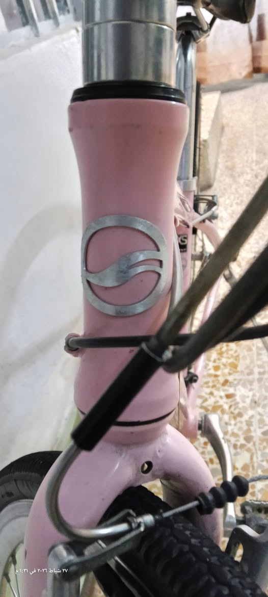 دراجه ماركت giant
نظافه ٩٠ %

حجم ٢٦ 

معدن المنيوم 
وياله زوم

مشتري ٢٠٠ الف اريده ١٢٠ الف وبي مجال للطيبن


**إذا كنت صاحب هذا الإعلان وتريد حذفه لأي سبب، رجاءا أرسل رسالة إلى الدعم الفني**