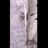 بيت طابقين في بغداد الجديدة / قرب الملجأ 🏡 تفاصيل العقار:  الموقع: بغد...